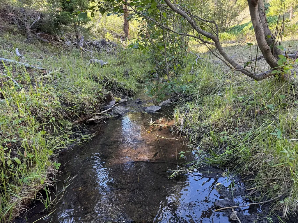 Tbd A&b Chimney Lakes Road Helmville MT 59843