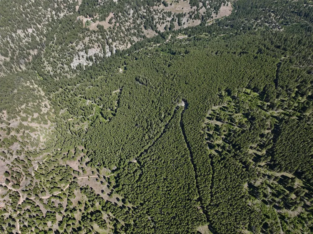 Tbd A&b Chimney Lakes Road Helmville MT 59843