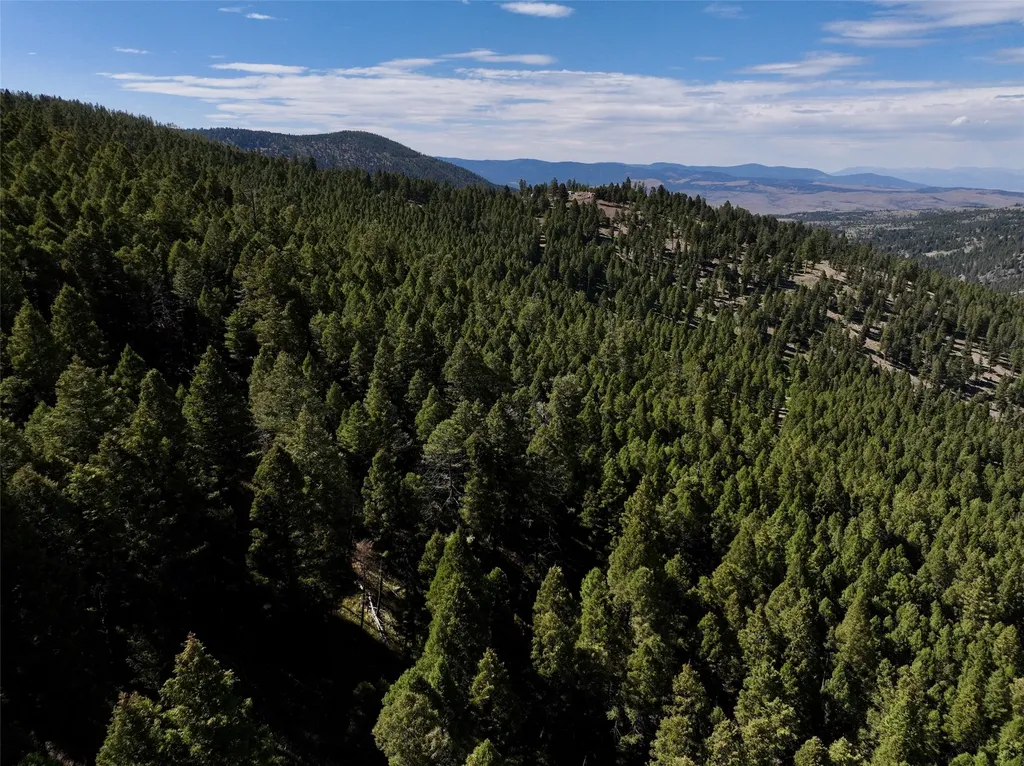 Tbd A&b Chimney Lakes Road Helmville MT 59843