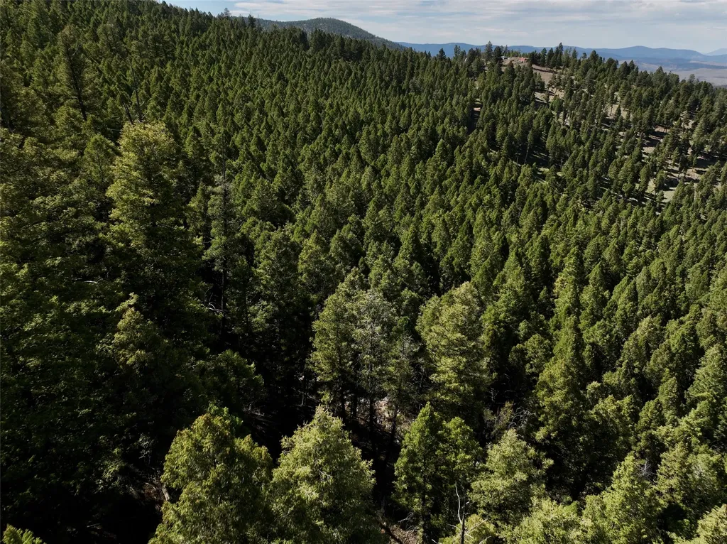 Tbd A&b Chimney Lakes Road Helmville MT 59843