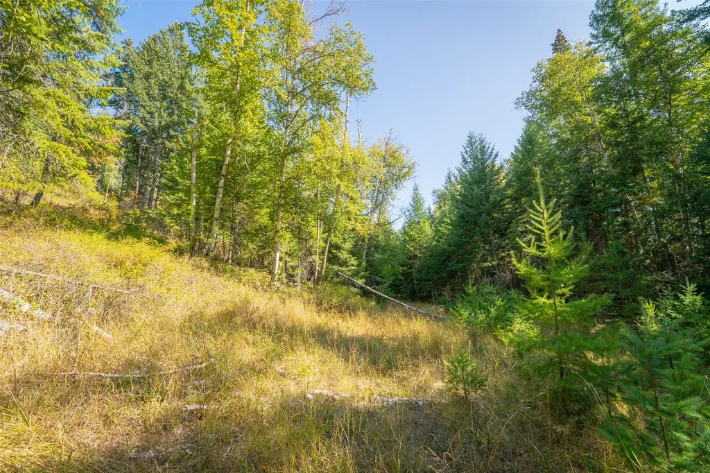 150 Peters Creek Way Kalispell MT 59901