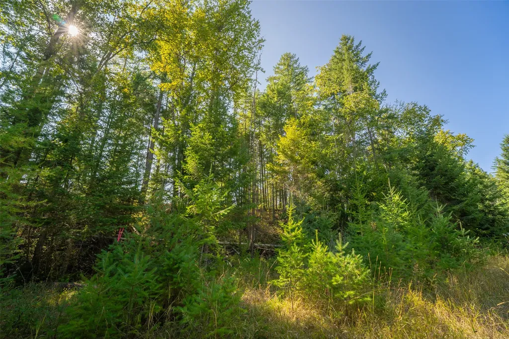 150 Peters Creek Way Kalispell MT 59901