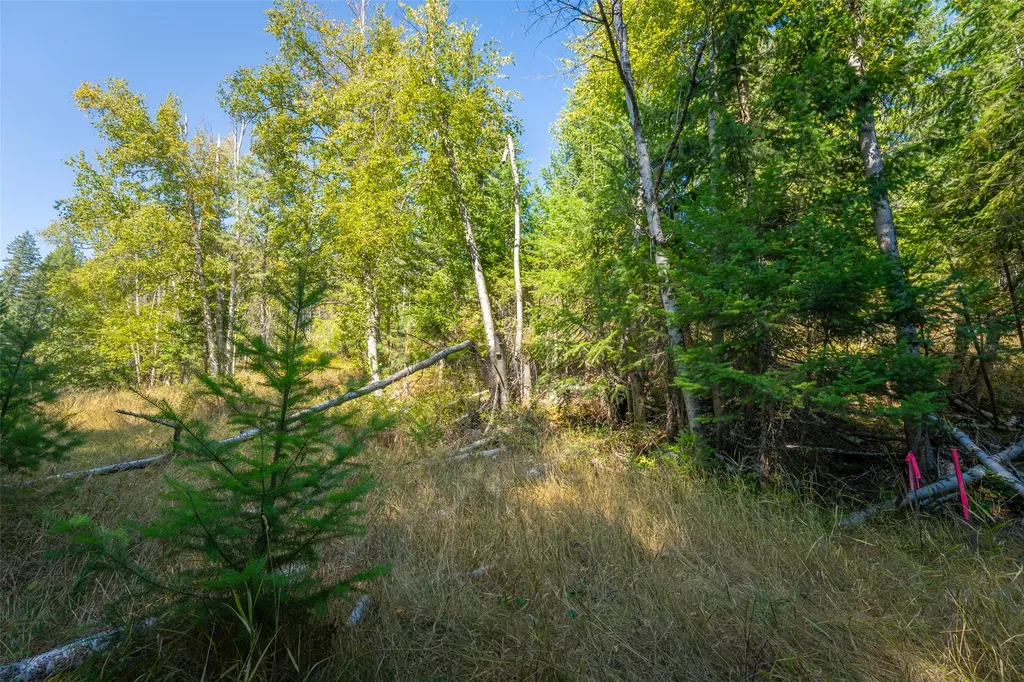 150 Peters Creek Way Kalispell MT 59901