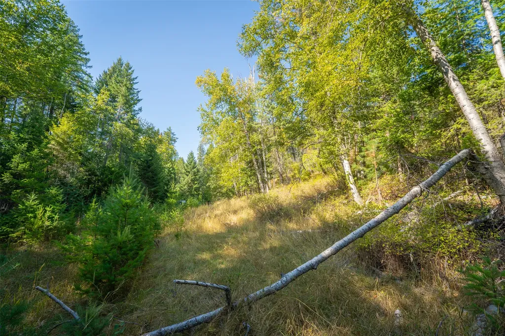 150 Peters Creek Way Kalispell MT 59901