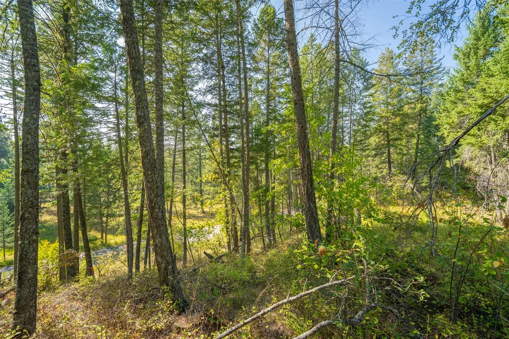 150 Peters Creek Way Kalispell MT 59901