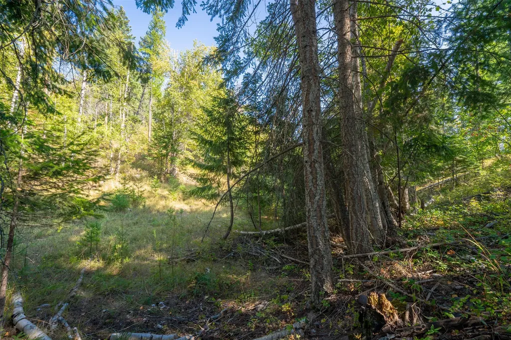 150 Peters Creek Way Kalispell MT 59901