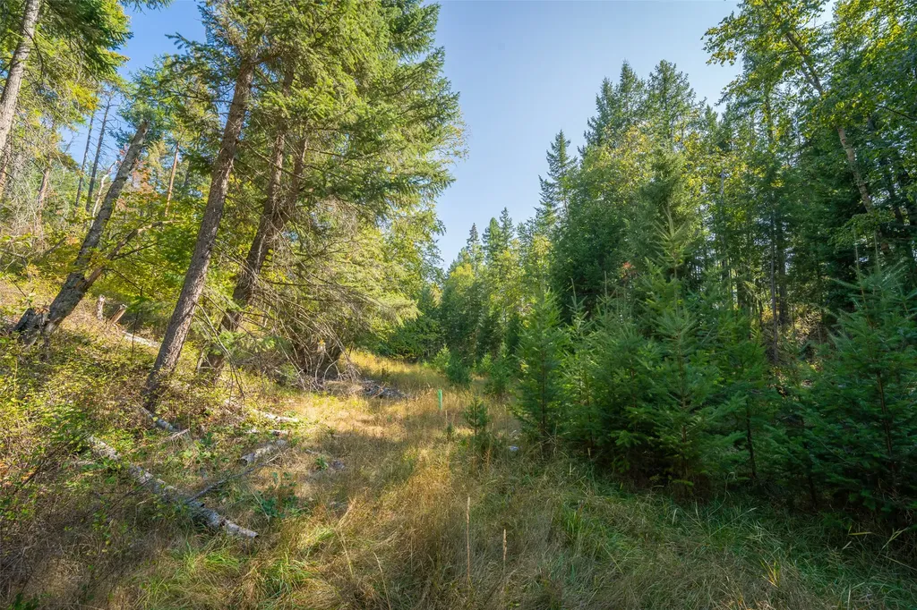 150 Peters Creek Way Kalispell MT 59901