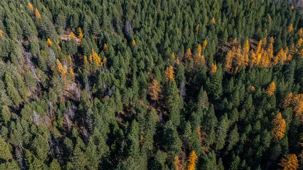 150 Peters Creek Way Kalispell MT 59901