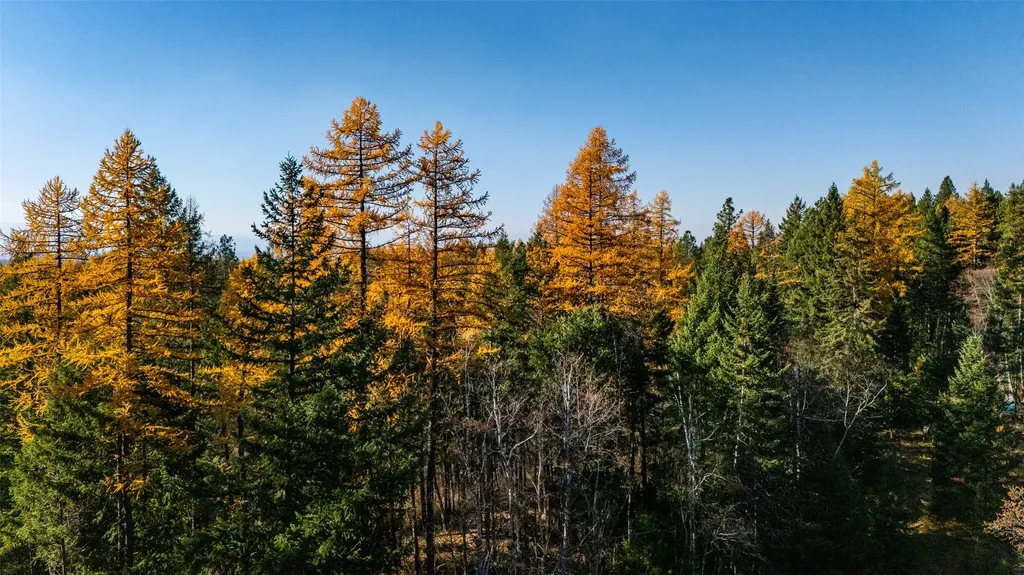 150 Peters Creek Way Kalispell MT 59901