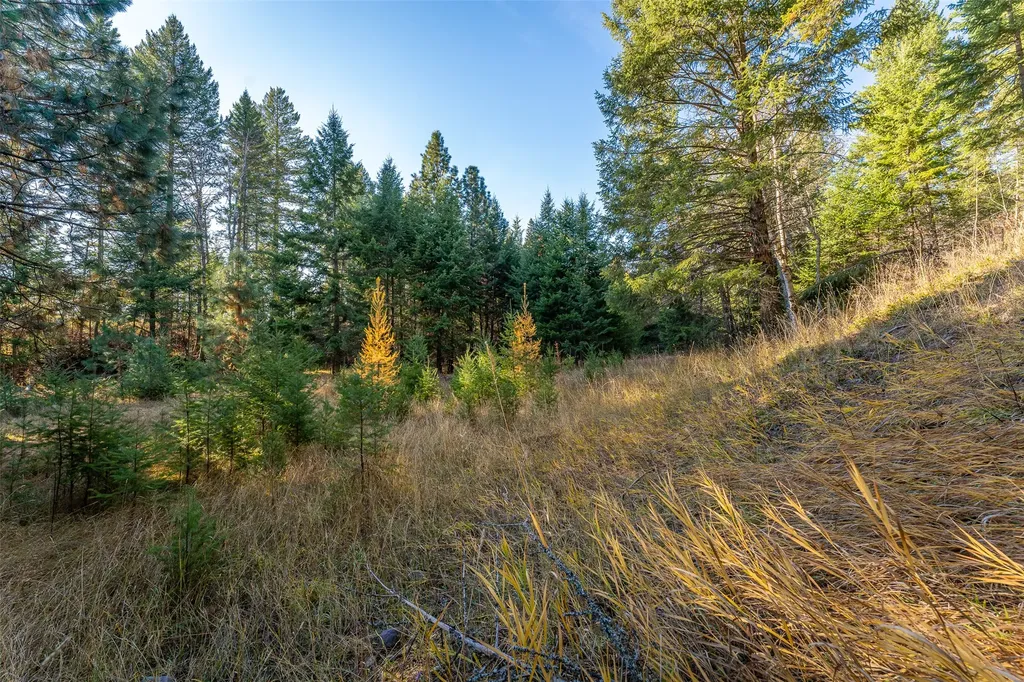 150 Peters Creek Way Kalispell MT 59901