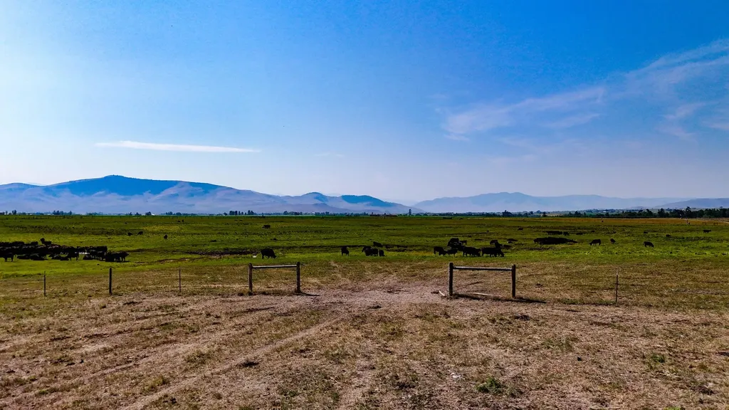 73579 Us Highway 93 St Ignatius MT 59865