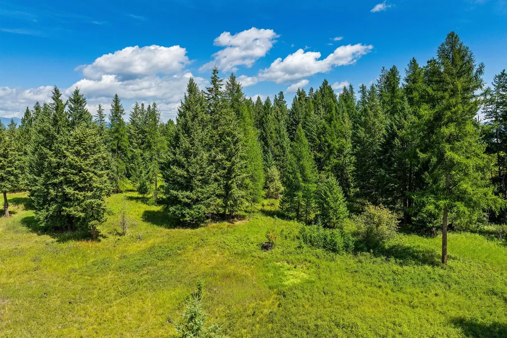 185 Kokanee Bend Drive Columbia Falls MT 59912