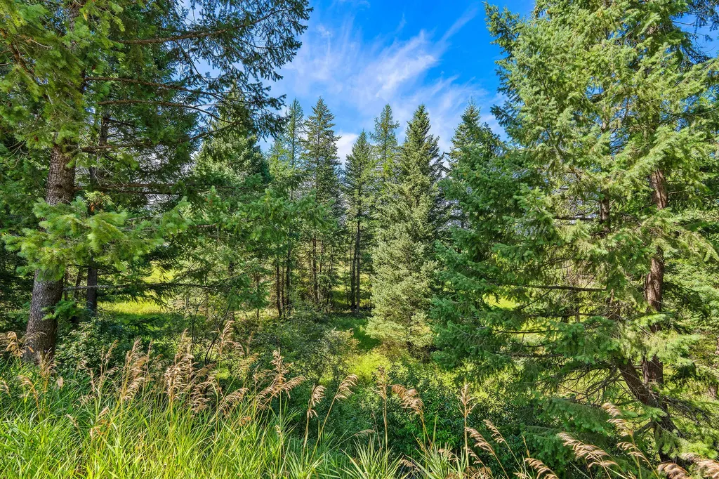 185 Kokanee Bend Drive Columbia Falls MT 59912
