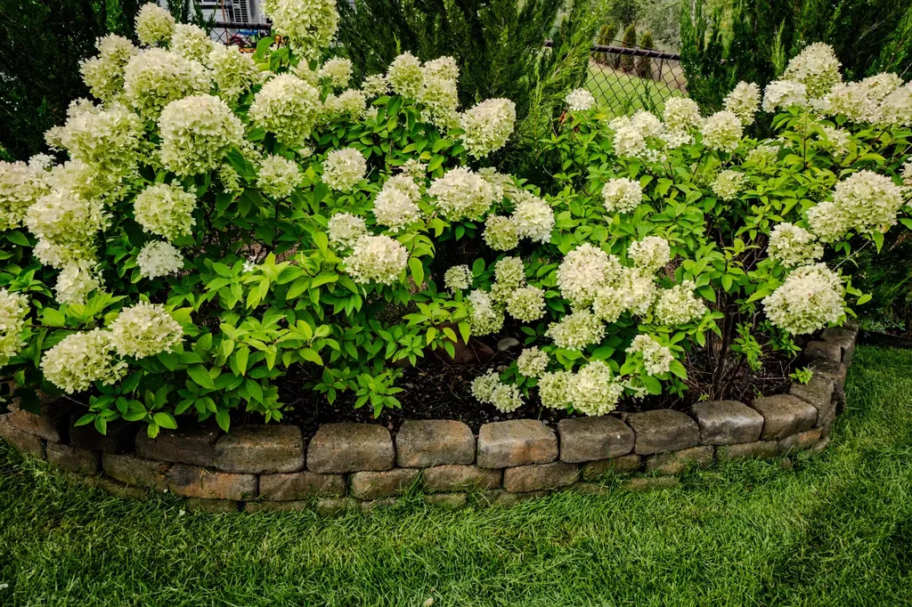 11596 Ninebark Way Missoula MT 59802