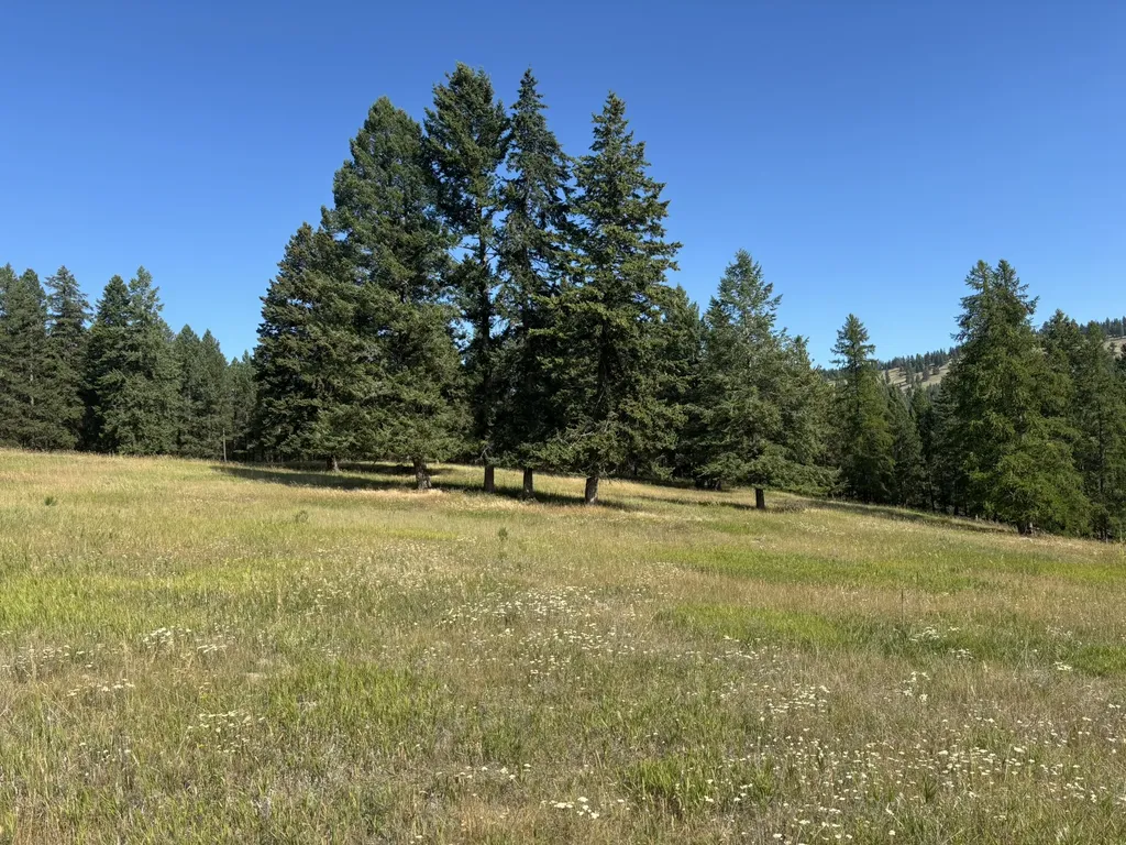 674 Morning View Drive Kalispell MT 59901