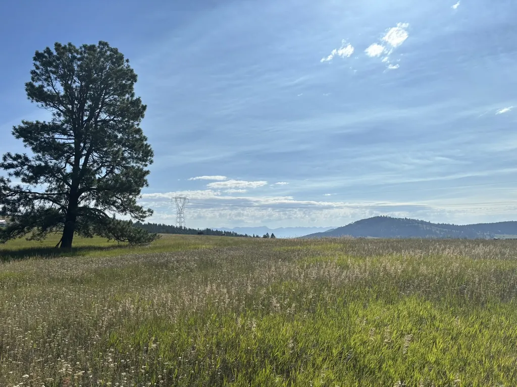 711 Morning View Drive Kalispell MT 59901
