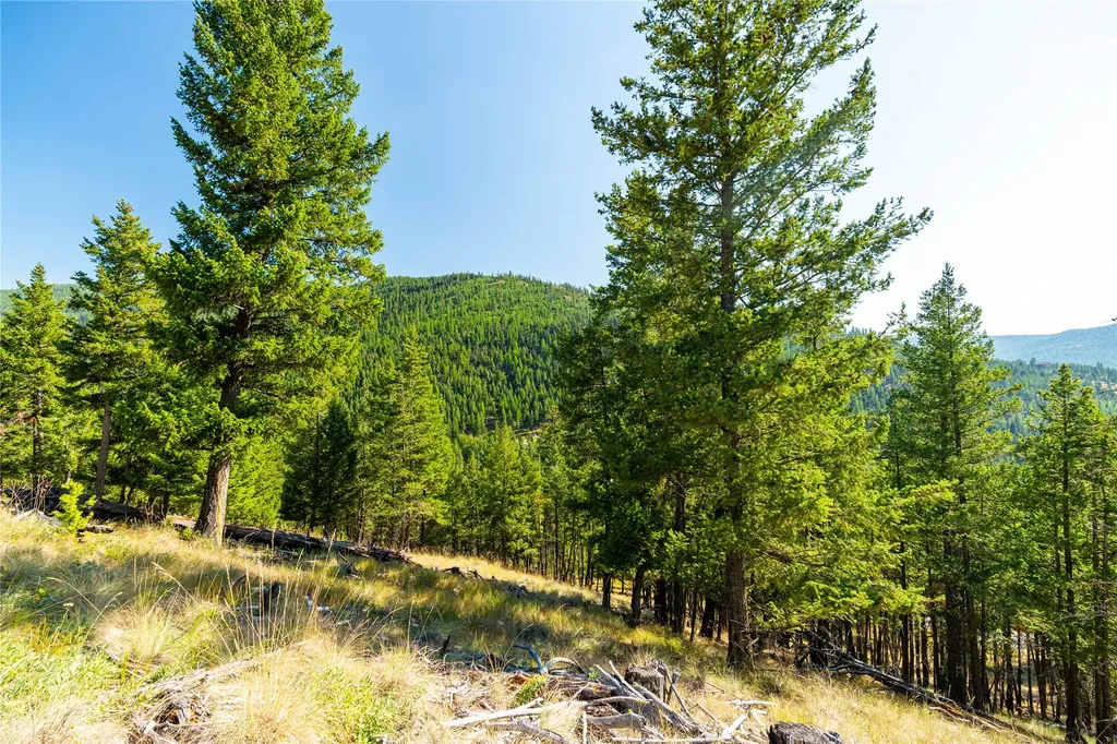 123 Seeley Lane Kila MT 59920
