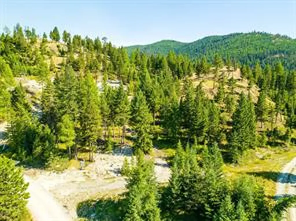 123 Seeley Lane Kila MT 59920