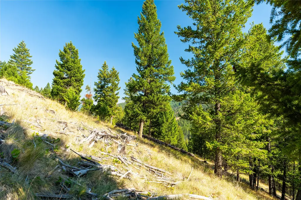 123 Seeley Lane Kila MT 59920