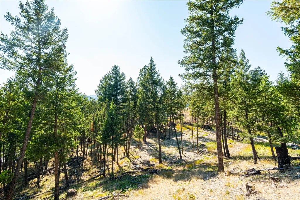 123 Seeley Lane Kila MT 59920