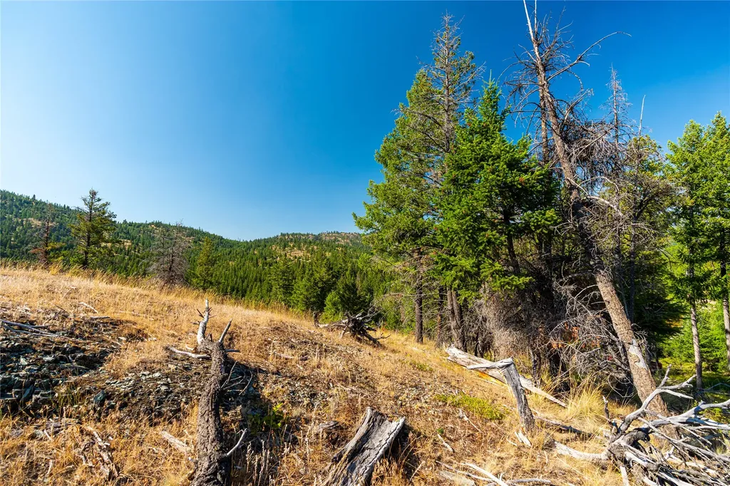123 Seeley Lane Kila MT 59920