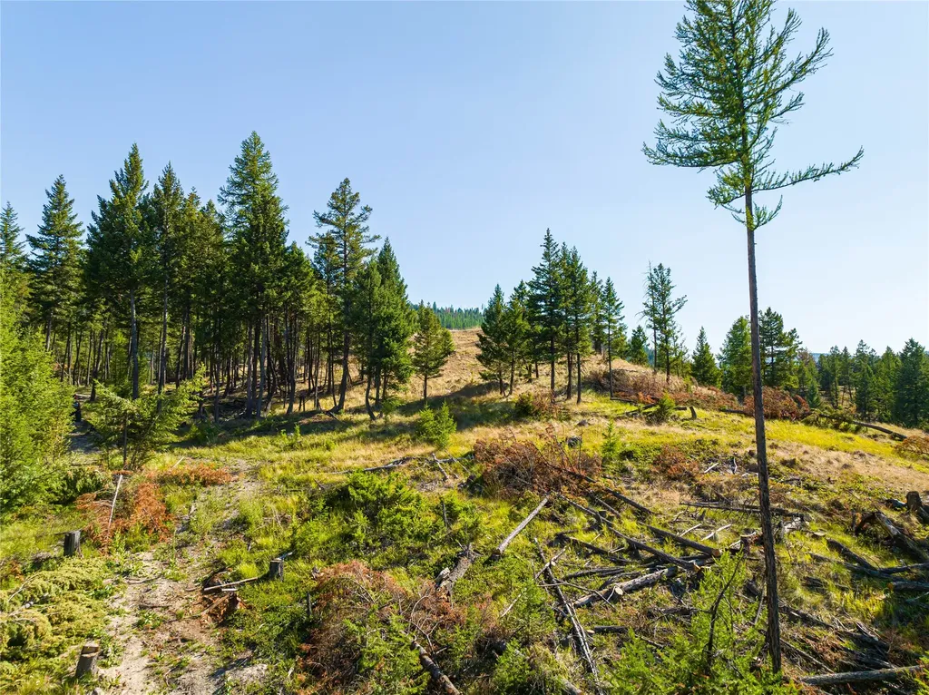 123 Seeley Lane Kila MT 59920