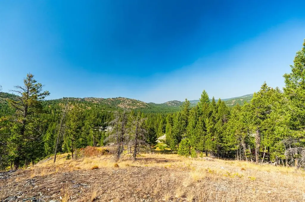 123 Seeley Lane Kila MT 59920