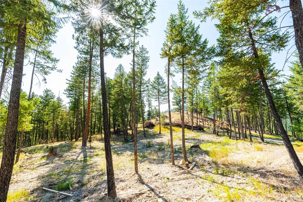 123 Seeley Lane Kila MT 59920