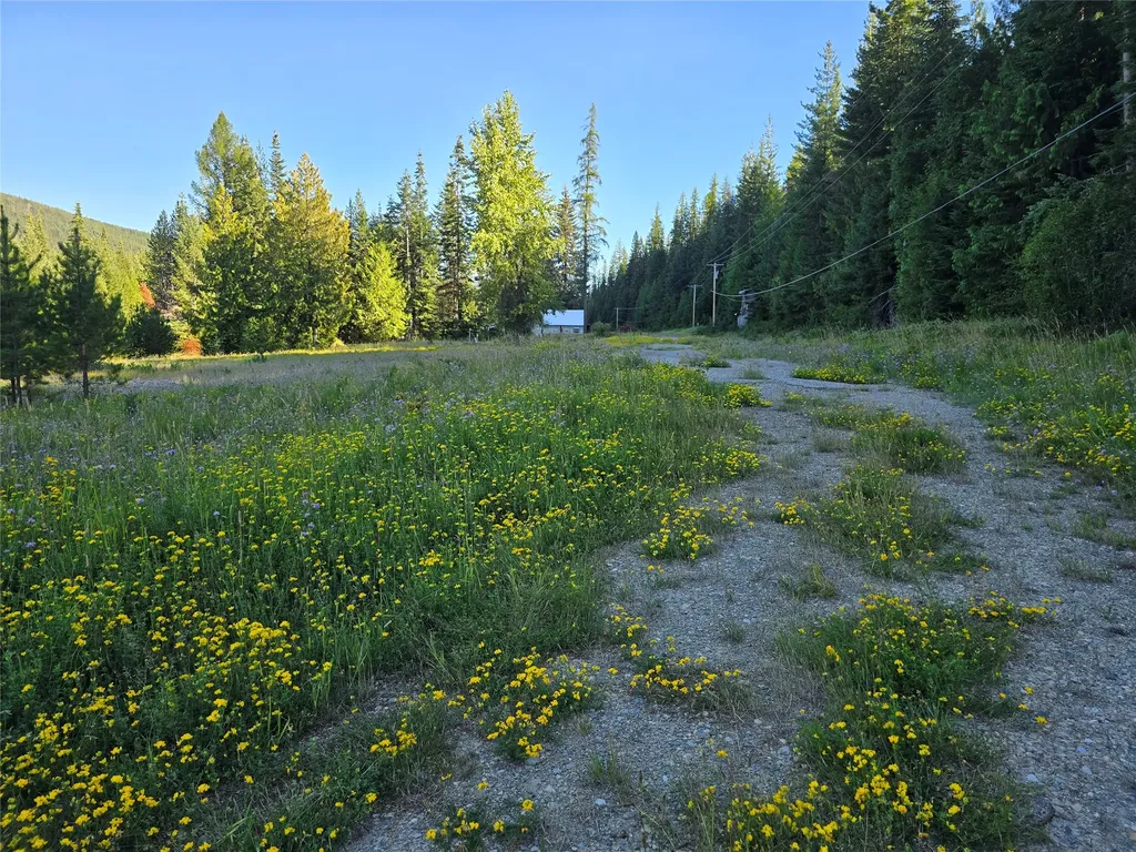 12941 Yaak River Road Yaak MT 59935
