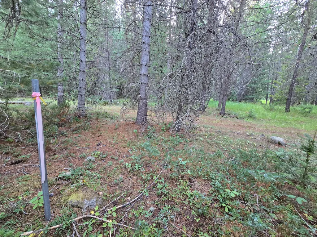 12941 Yaak River Road Yaak MT 59935