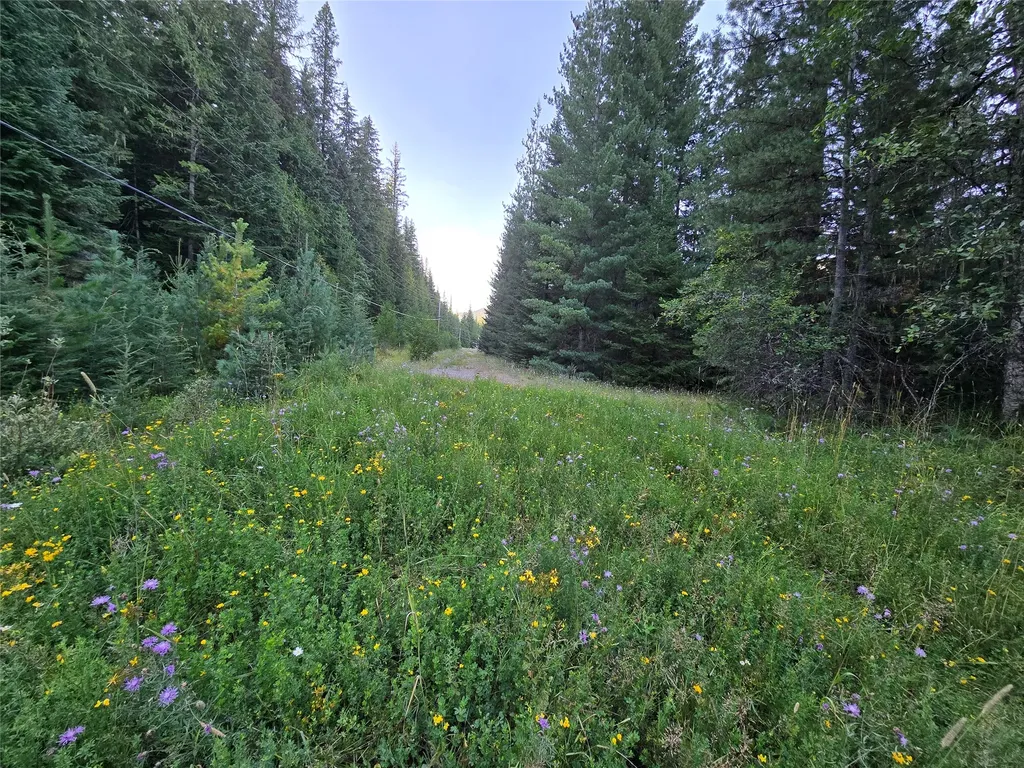 12941 Yaak River Road Yaak MT 59935