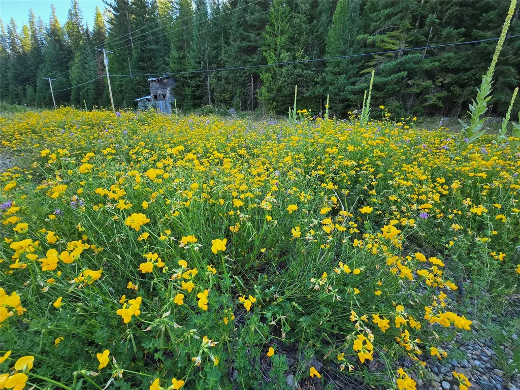 12941 Yaak River Road Yaak MT 59935