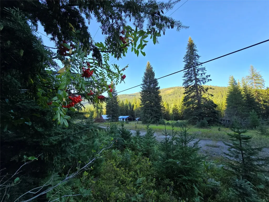 12941 Yaak River Road Yaak MT 59935