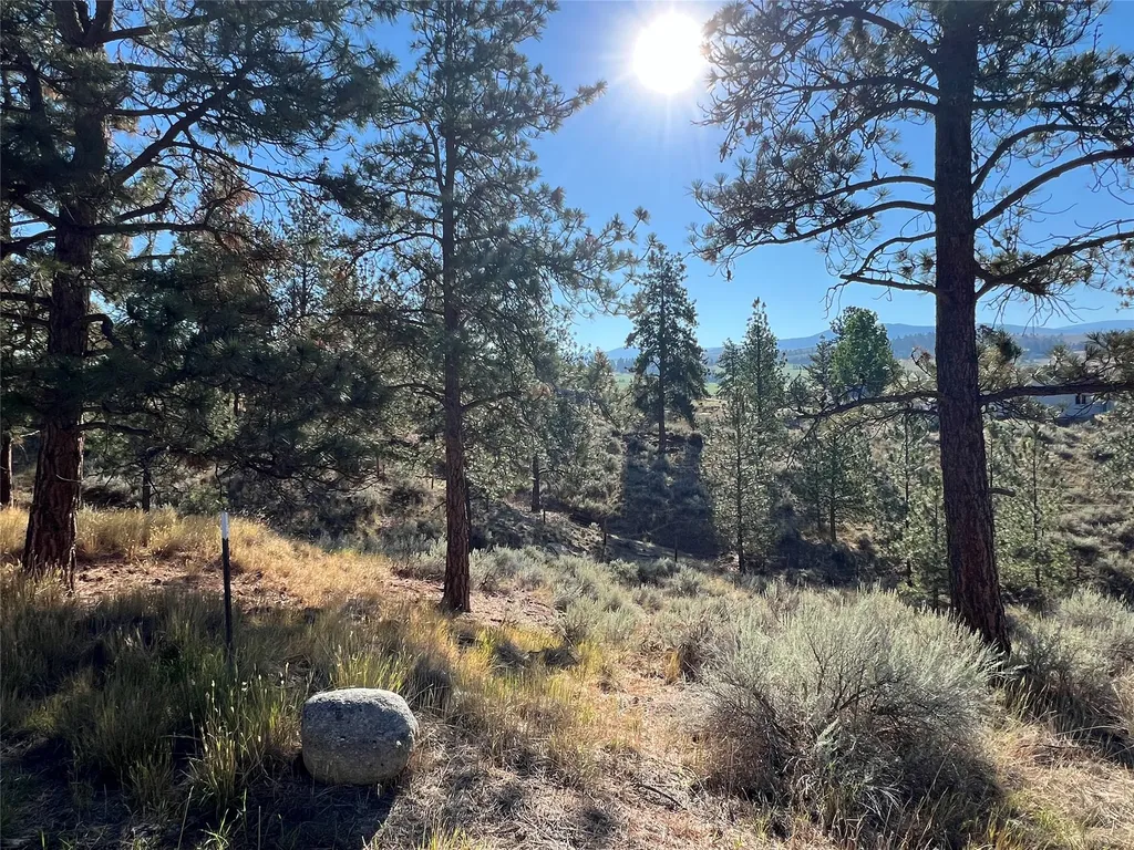 605 Groff Lane Stevensville MT 59870