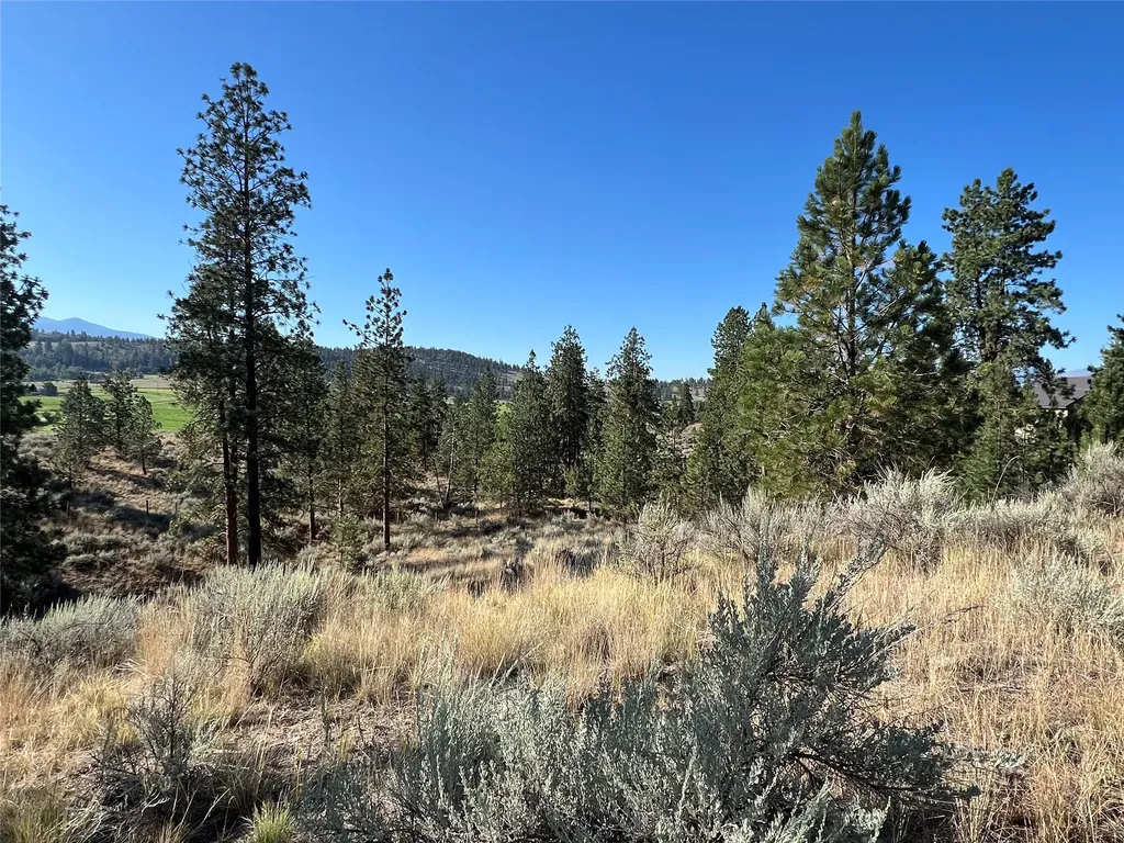 605 Groff Lane Stevensville MT 59870