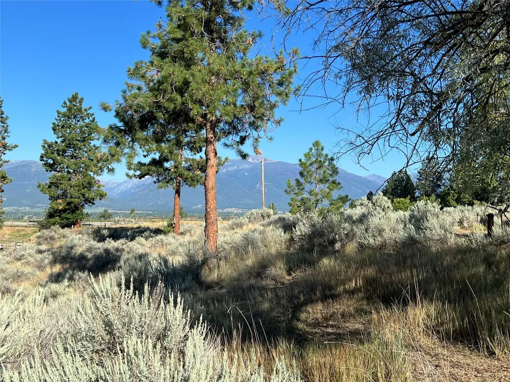 605 Groff Lane Stevensville MT 59870