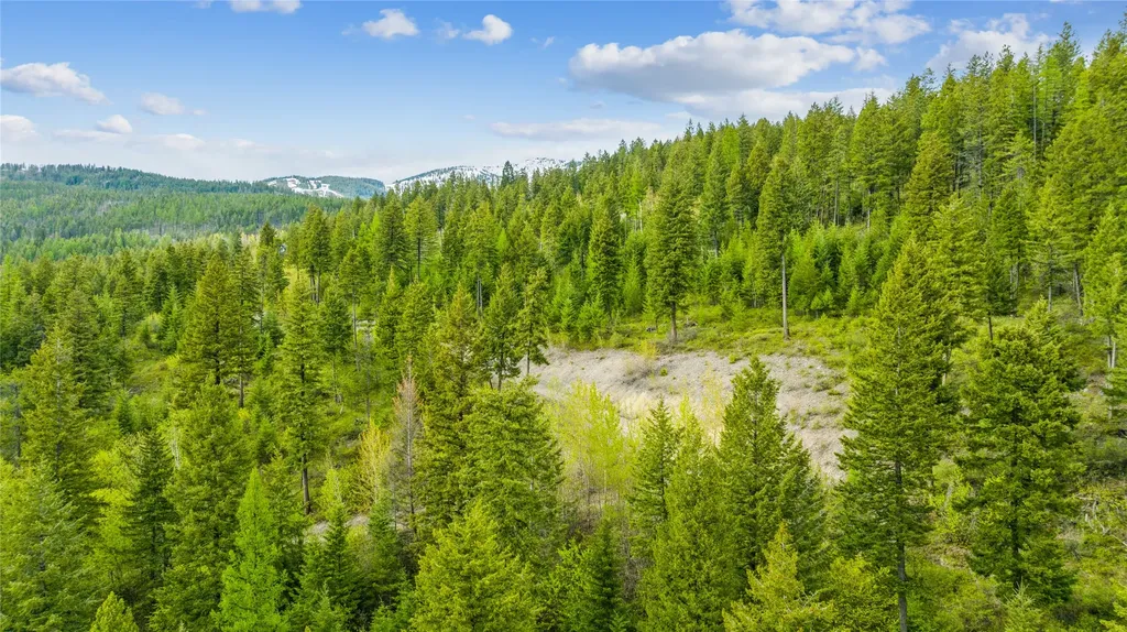 201 Whitefish Lookout Road Whitefish MT 59937
