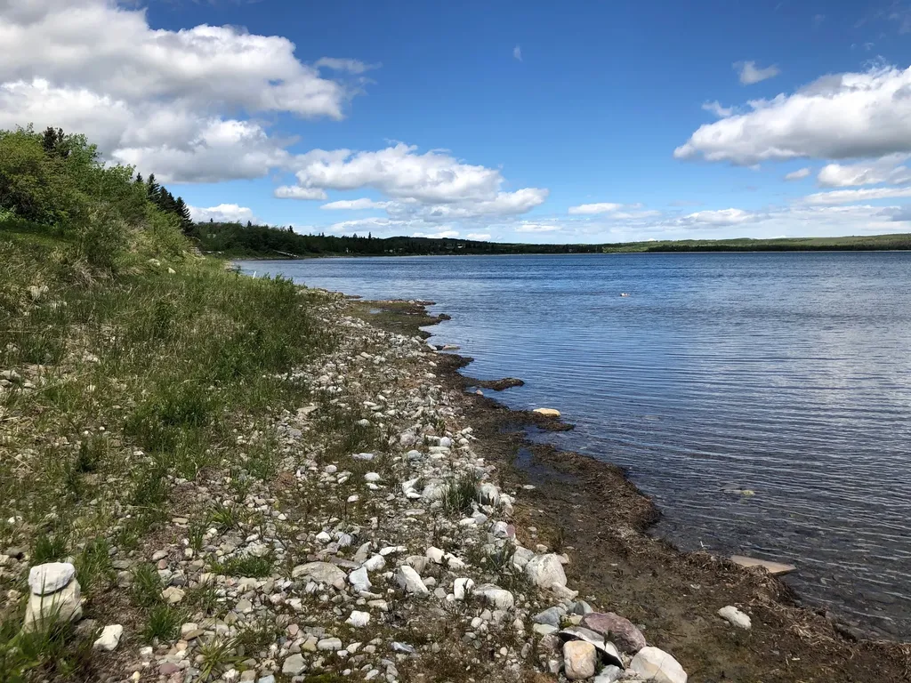 Lot 32 West Shore Duck Lake Road Babb MT 59411