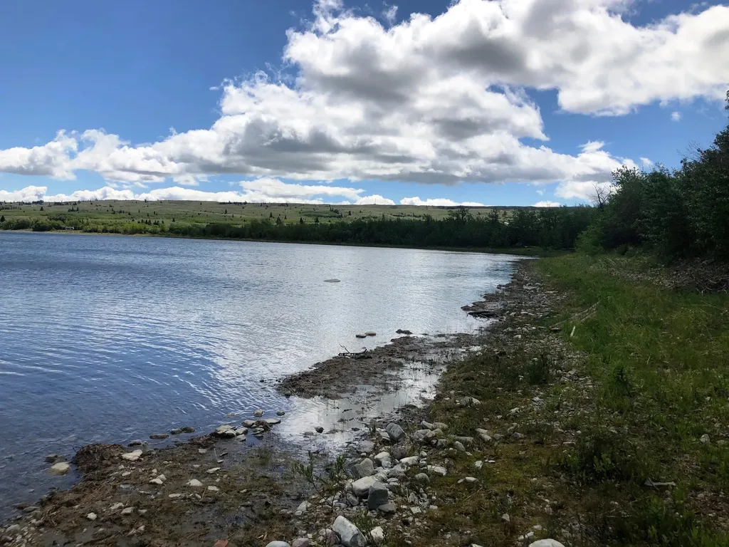 Lot 32 West Shore Duck Lake Road Babb MT 59411