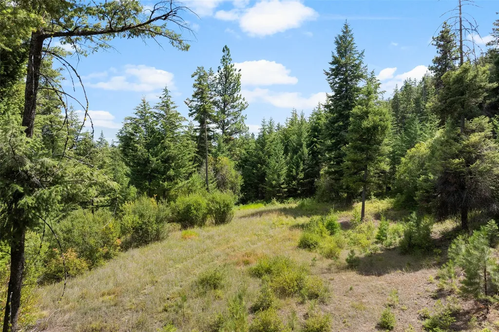 1925 Castle View Drive Victor MT 59875