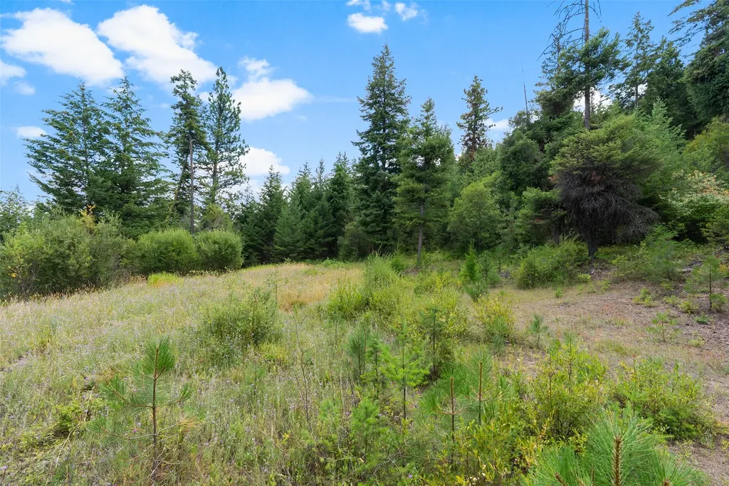 1925 Castle View Drive Victor MT 59875