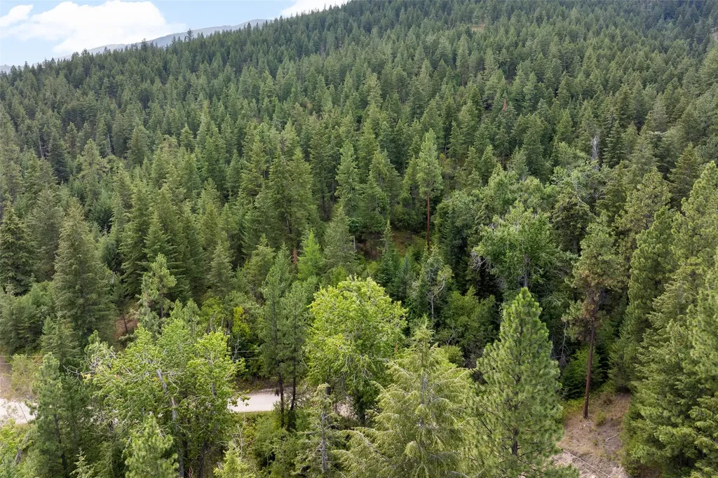 1925 Castle View Drive Victor MT 59875