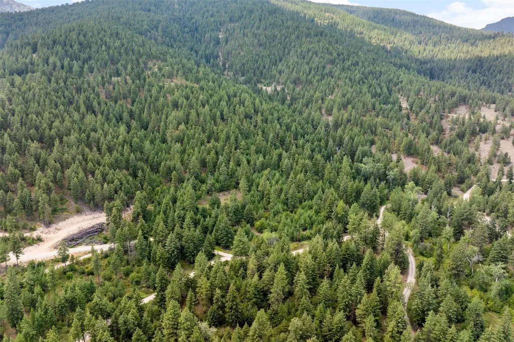 1925 Castle View Drive Victor MT 59875