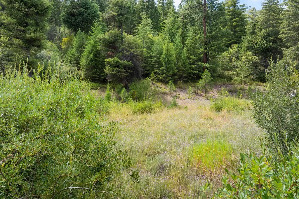 1925 Castle View Drive Victor MT 59875