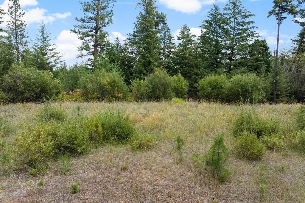 1925 Castle View Drive Victor MT 59875