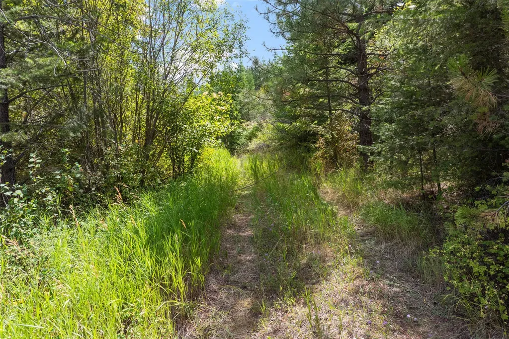 1925 Castle View Drive Victor MT 59875