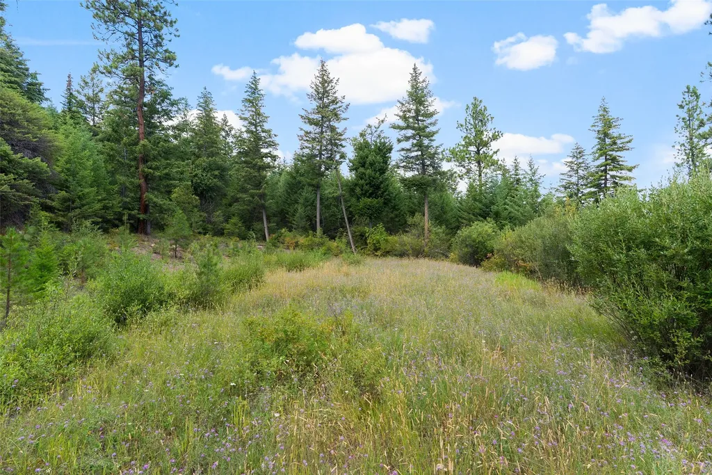 1925 Castle View Drive Victor MT 59875
