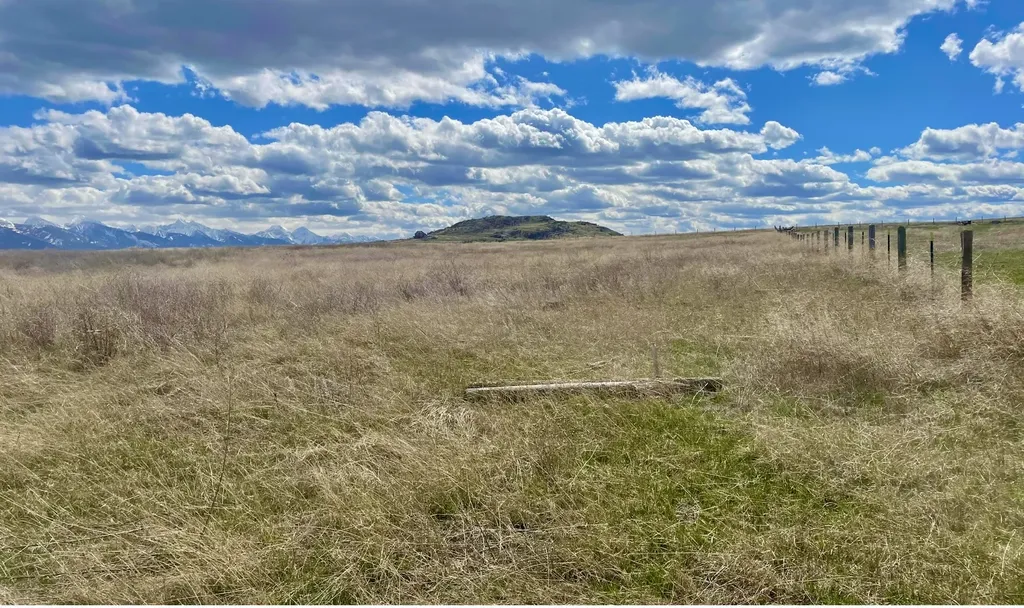 38396 Broken Wheel Road Polson MT 59860