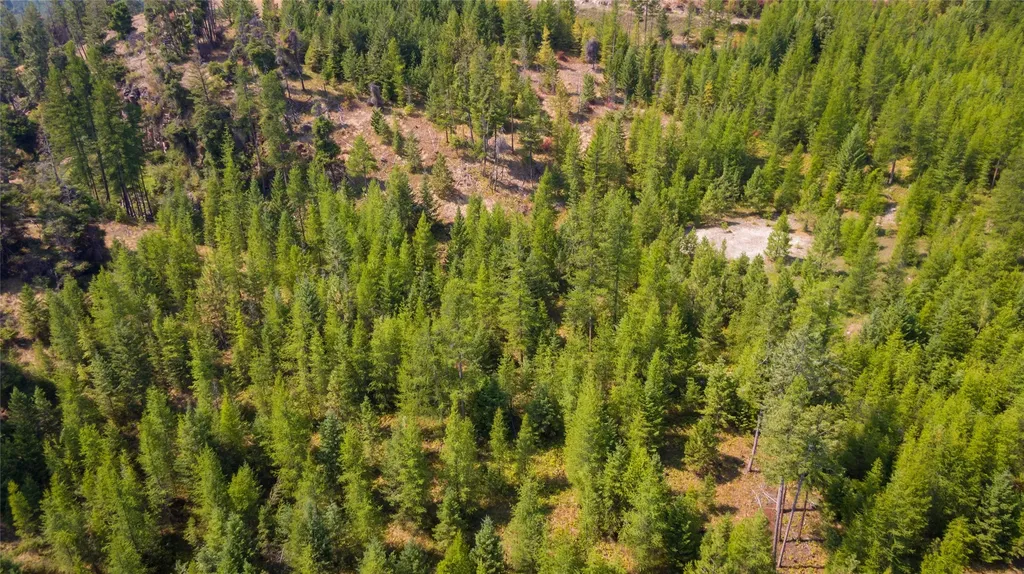 222 Eagle View Road Kila MT 59920