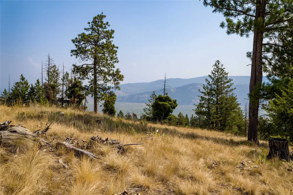 222 Eagle View Road Kila MT 59920